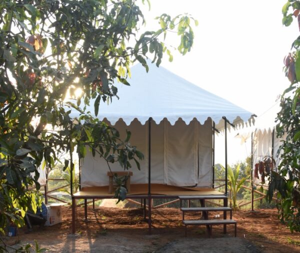 Rajasthani Premium Tent​