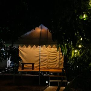 Rajasthani Premium Tent​ - Image 2